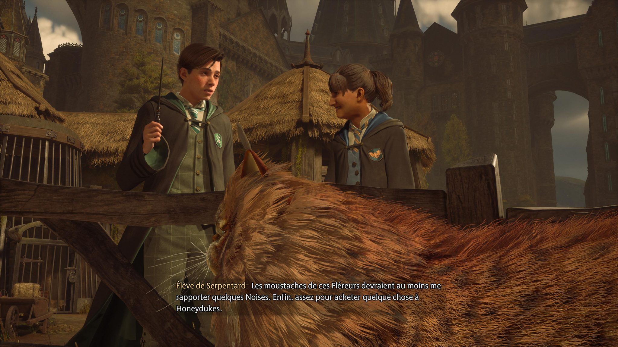 Cours sur les Créatures Magiques Soluce Hogwarts Legacy