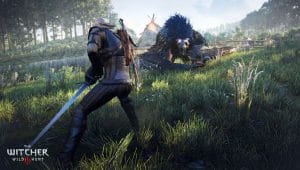 The witcher 3: wild hunt