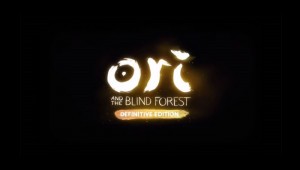 Ori and the blind forest 2