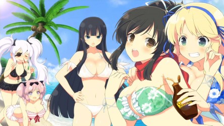Image d'illustration pour l'article : Senran Kagura Estival Versus trouve sa date de sortie européenne !