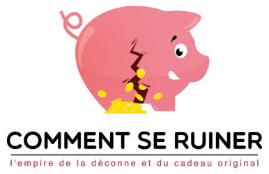 Image d'illustration pour l'article : Commentseruiner.com ou l'empire de l'objet insolite et inutile