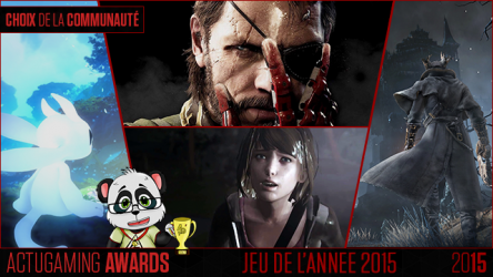 Image d'illustration pour l'article : AG Awards 2015 : Résultats des jeux de l'année de l'équipe