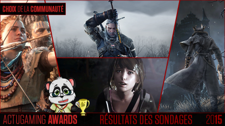 Image d'illustration pour l'article : AG Awards 2015 : Résultats des jeux de l'année de la communauté !