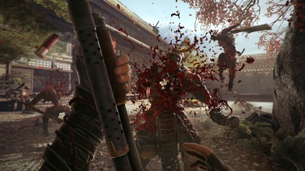 Image d'illustration pour l'article : Douze minutes de gameplay en vidéo pour Shadow Warrior 2