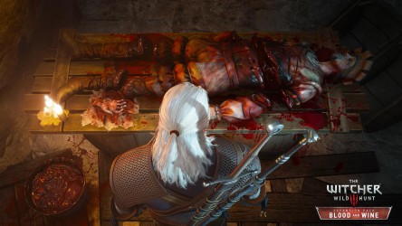 Image d'illustration pour l'article : The Witcher 3 : La mise à jour 1.22 déployée