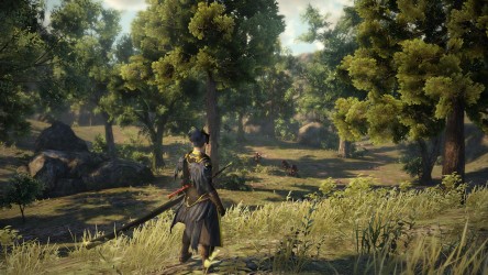 Image d'illustration pour l'article : Toukiden 2 : Quatre heures de gameplay sur la démo PS4