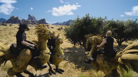 Image d'illustration pour l'article : Les chocobos de Final Fantasy XV se baladent en vidéo