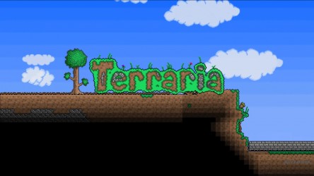 Image d'illustration pour l'article : Terraria trouve enfin une date de sortie sur Wii U