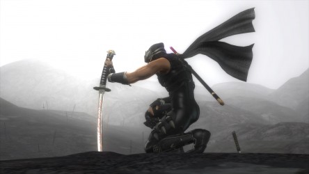 Image d'illustration pour l'article : La licence Ninja Gaiden semble être de retour pour de bon !