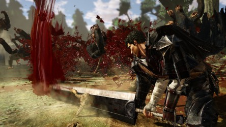 Image d'illustration pour l'article : Berserk Warriors/Musou : Du gameplay pour Casca et Judeau