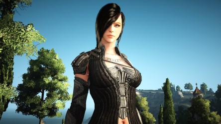 Image d'illustration pour l'article : Gamescom 2016 : Black Desert Online dévoile plusieurs vidéos et évoque une version consoles
