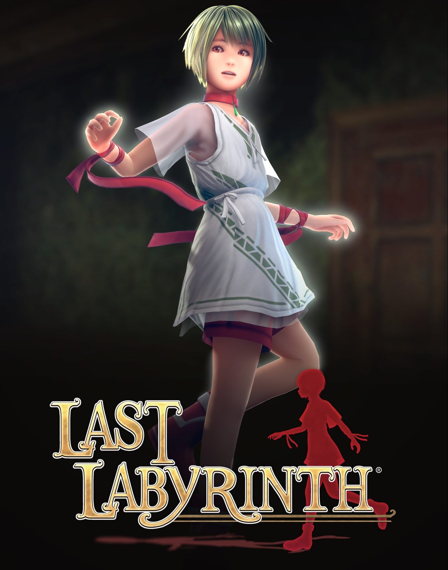 Jaquette Last Labyrinth