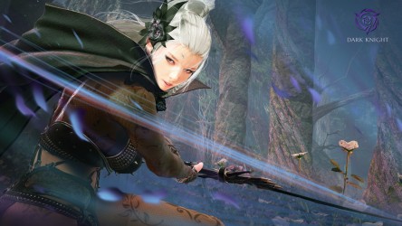 Image d'illustration pour l'article : Black Desert Online : Une Dark Knight plus belle que jamais et le Ninja et la Kunoichi s'éveillent