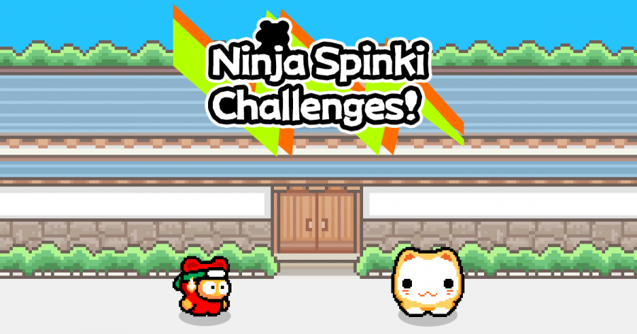 TEST. Ninja Spinki Challenges!! - Le Ninchat qui est en toi !