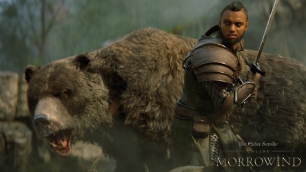 Image d'illustration pour l'article : The Elder Scrolls Online : L'extension Morrowind s'offre une publicité en vidéo !