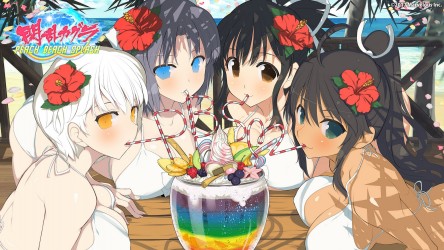 Image d'illustration pour l'article : Le Splatoon-like sexy Senran Kagura: Peach Beach Splash est enfin annoncé en Europe