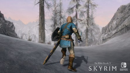 Image d'illustration pour l'article : E3 2017 : Skyrim Switch - Jaquette, jouabilité Switch et les images de Link