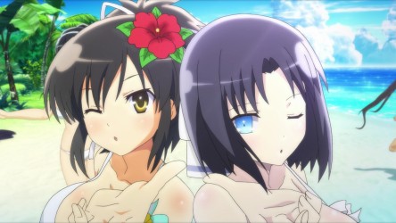 Image d'illustration pour l'article : Senran Kagura: Peach Beach Splash arrose l'Europe de deux éditions collector