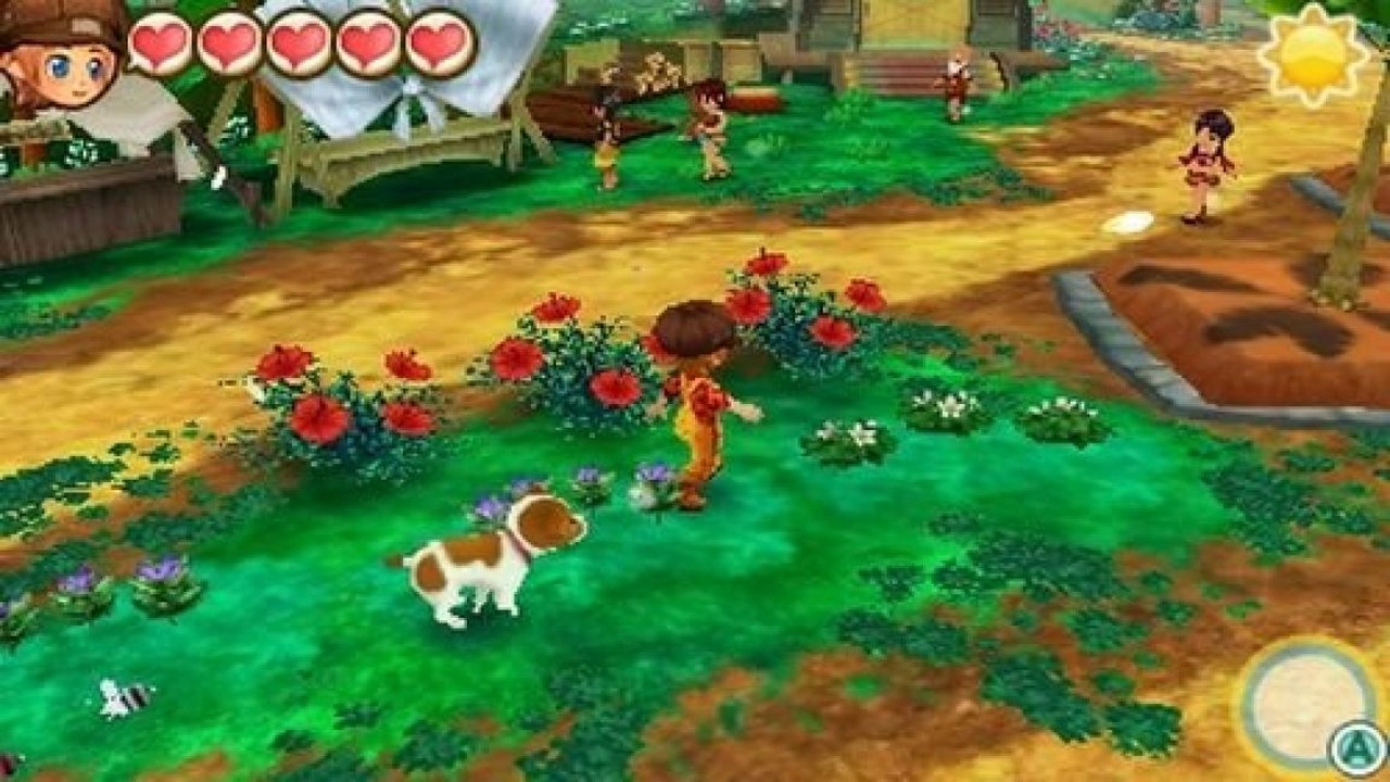 Test-story-of-seasons-trio-of-town-reference-farming-game-3ds (6)
