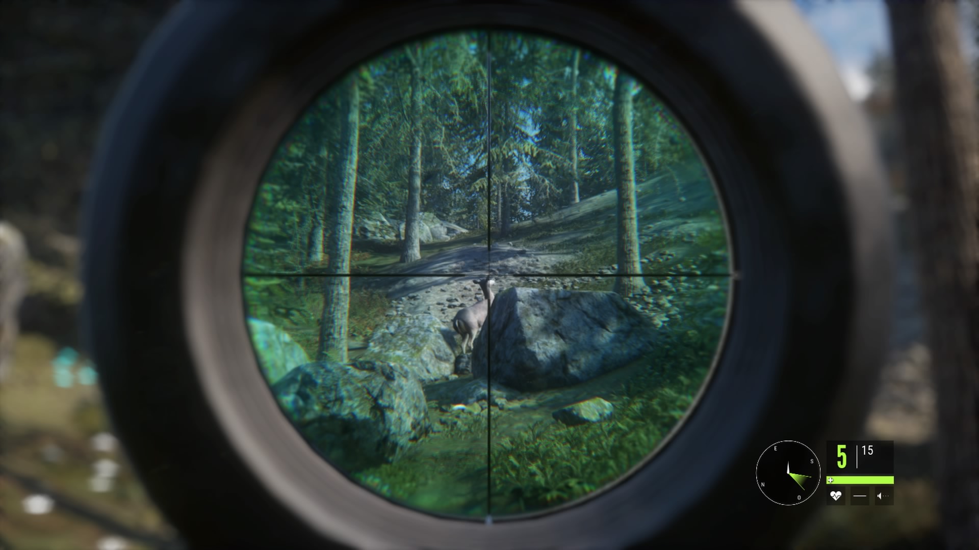 Thehunter-call-of-the-wild-test-2