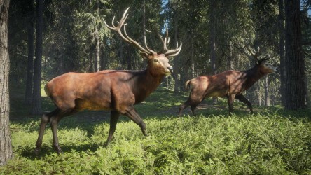Image d'illustration pour l'article : Test theHunter : Call of the Wild - Le jeu de chasse ultime ?