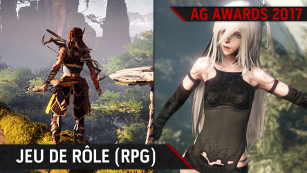 Image d'illustration pour l'article : AG Awards 2017 : Votez pour le meilleur RPG