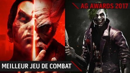 Image d'illustration pour l'article : AG Awards 2017 : Votez pour le meilleur jeu de combat