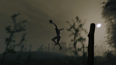 Image d'illustration pour l'article : PSX 2017 : The Forest débarque sur PlayStation 4 en 2018
