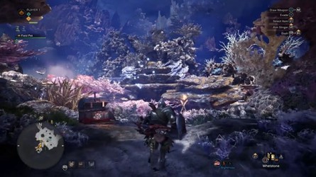 Image d'illustration pour l'article : De nouvelles minutes de gameplay pour Monster Hunter: World
