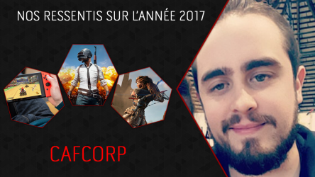 Image d'illustration pour l'article : Nos ressentis sur l’année 2017 : L’avis de Cafcorp