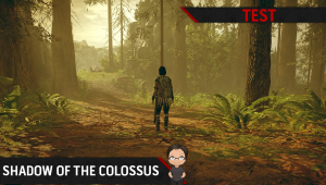 Shadow of the colossus test