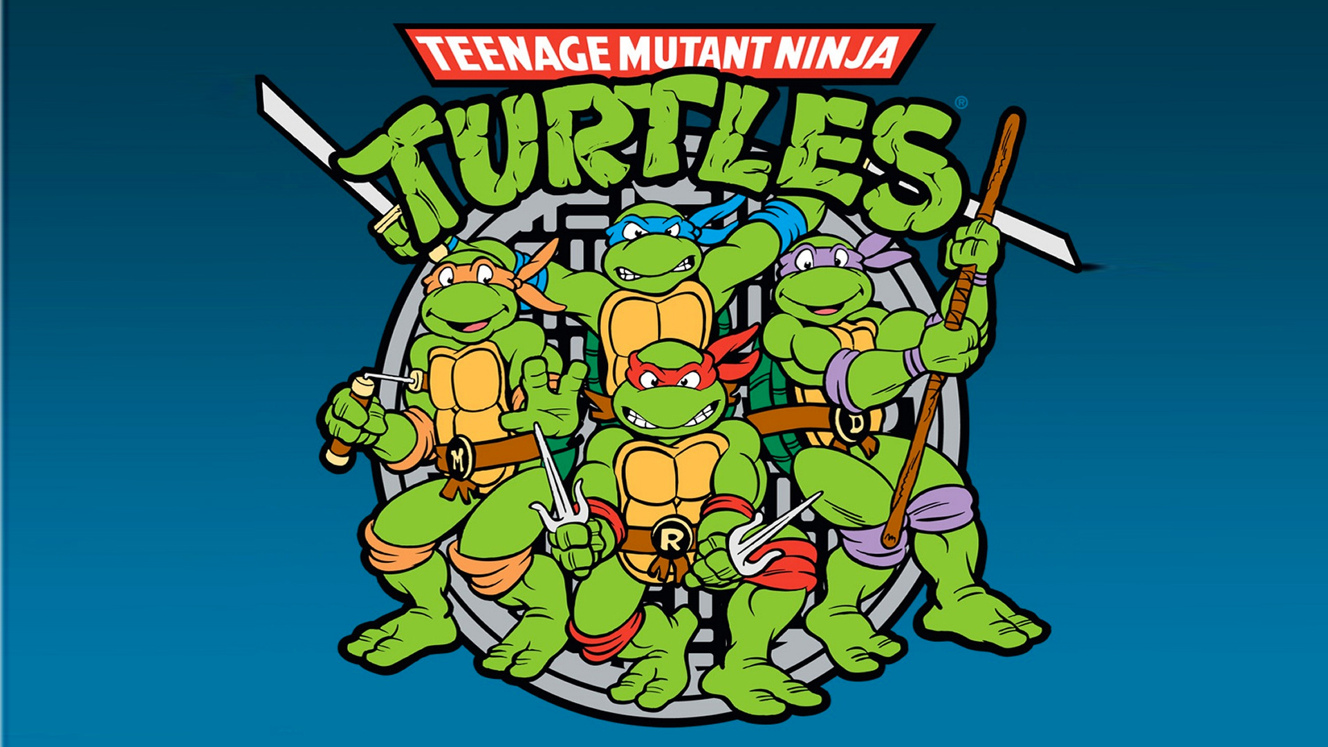 Teenage mutant hero turtles