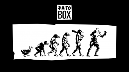 Image d'illustration pour l'article : Test Pato Box - Le syndrome du canard en attendant un Punch-Out