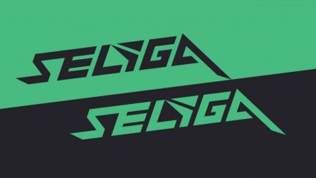 Image d'illustration pour l'article : Selyga : L'agrégateur européen est maintenant accessible en anglais