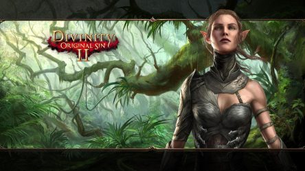 Image d'illustration pour l'article : Divinity : Original Sin 2 arrive sur consoles