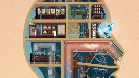 Image d'illustration pour l'article : Test Homo Machina - Le corps humain est une machine !