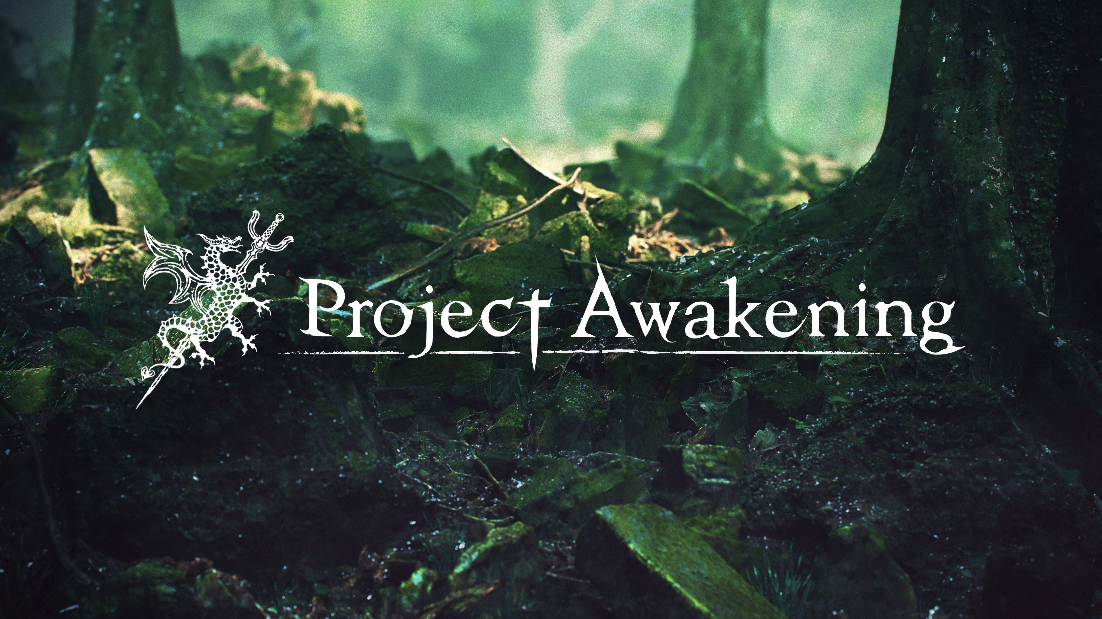 Projet awakening cygames