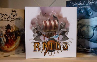 Image d'illustration pour l'article : Raids - Attaque de vikings