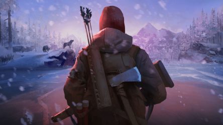 Image d'illustration pour l'article : The Long Dark sortira en version physique à la rentrée
