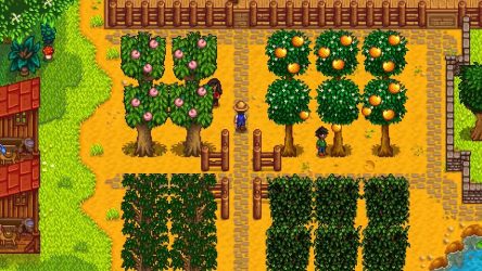 Image d'illustration pour l'article : Le multijoueur de Stardew Valley est officiellement disponible sur PC