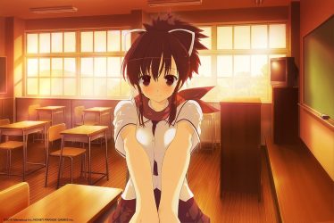Image d'illustration pour l'article : Test Senran Kagura Reflexions - Moment de grâce pour les Joy-Con