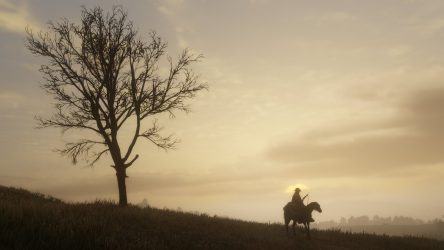 Image d'illustration pour l'article : Red Dead Redemption 2 s'illustre en une vingtaine de screenshots