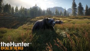 Thehunter call of the wild edition 2019