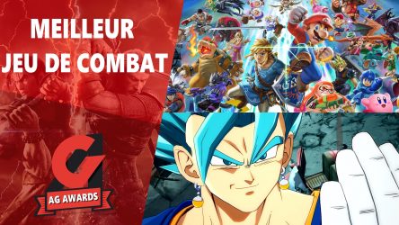 Image d'illustration pour l'article : AG Awards 2018 : Votez pour le meilleur Jeu de Combat