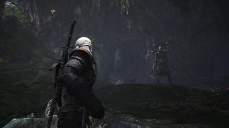 Image d'illustration pour l'article : Monster Hunter World rend un bel hommage à The Witcher 3