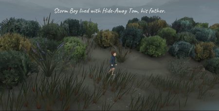 Image d'illustration pour l'article : Test Storm Boy The Game - L’adaptation du livre pour enfants