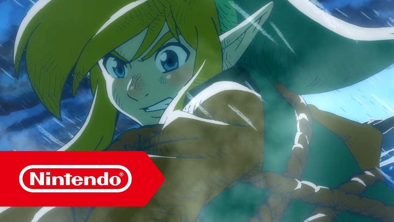 Zelda awakening