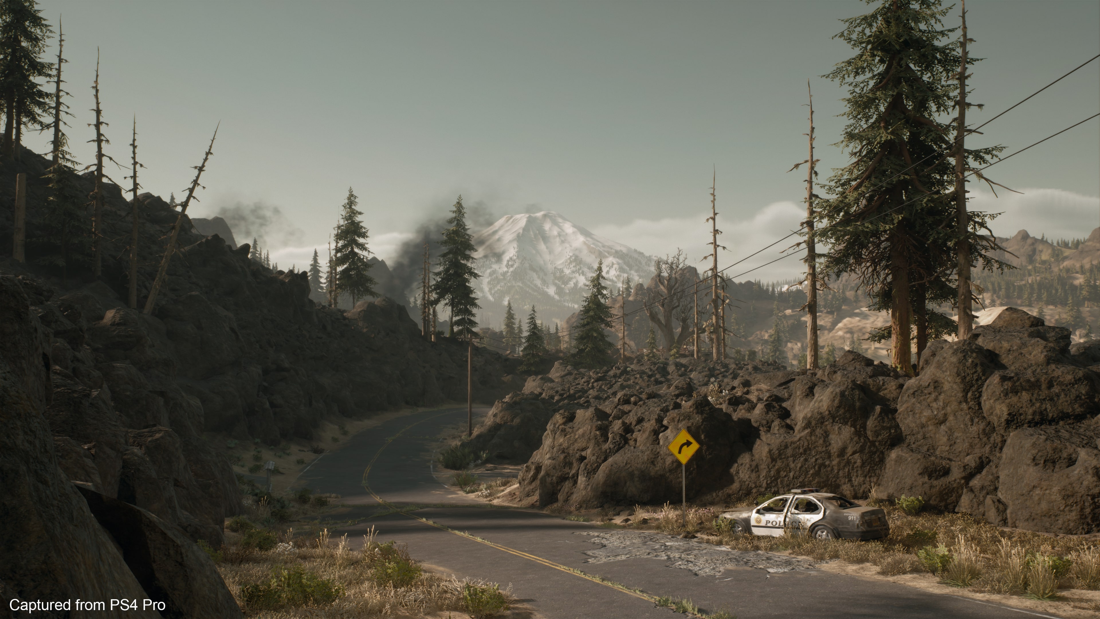 Days gone preview 1 11