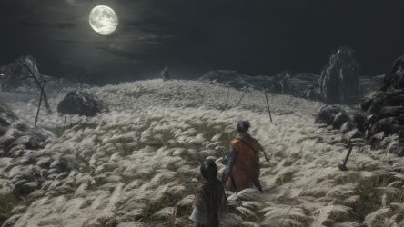 Image d'illustration pour l'article : Sekiro nous en montre un peu plus dans son trailer de lancement