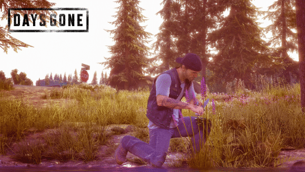 Image d'illustration pour l'article : Toutes les plantes (Herboristerie) - Days Gone